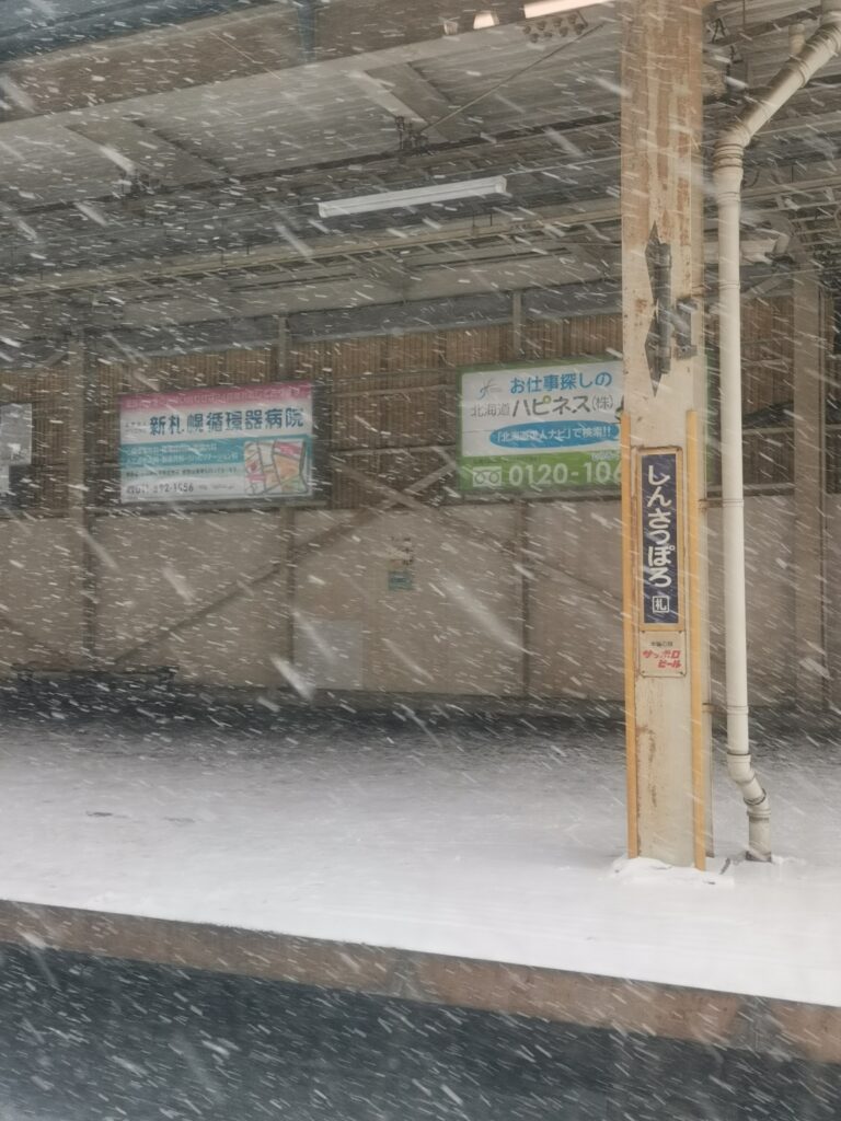 しんさっぽろ駅の写真
吹雪の様子